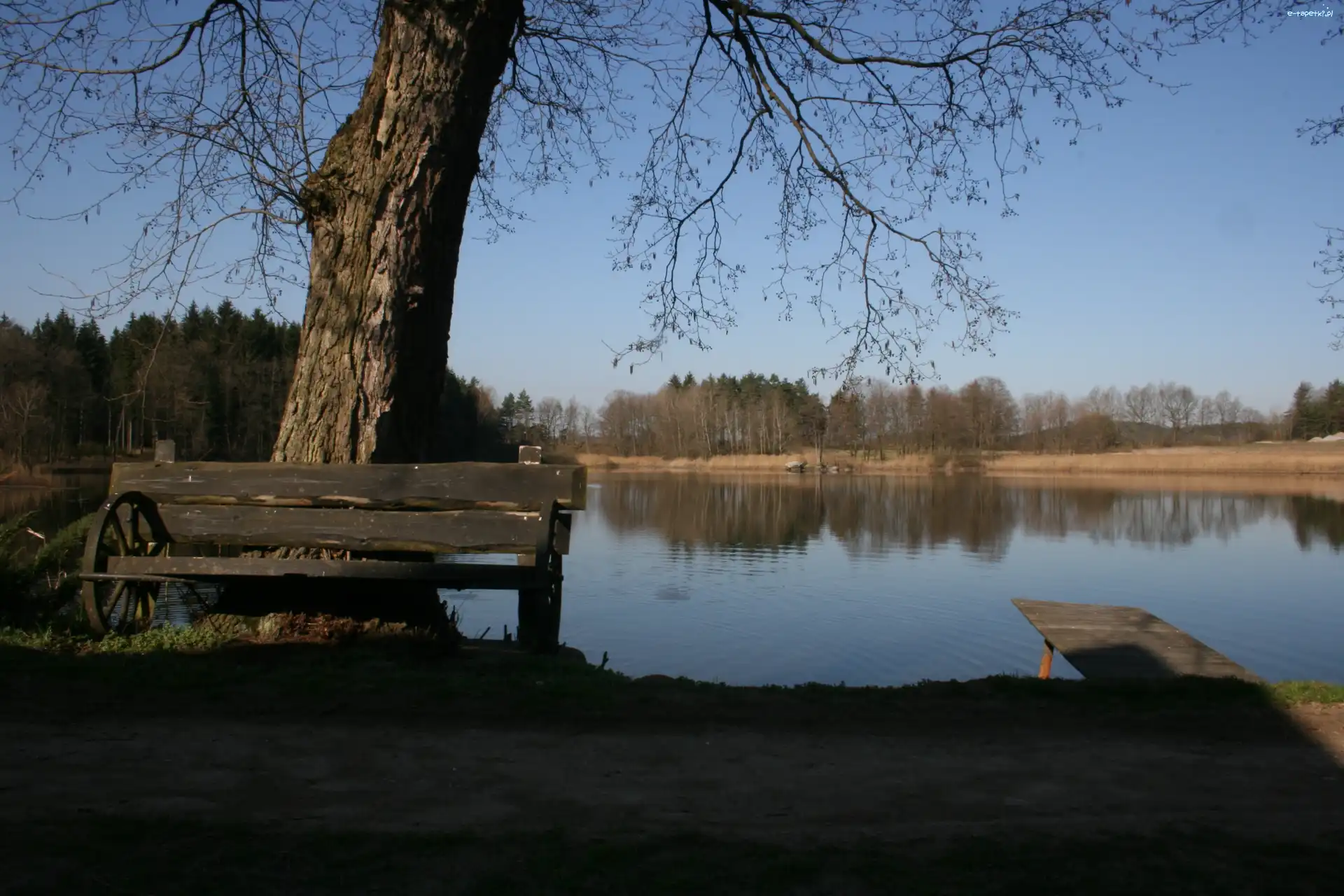 Staw, Drzewo, Ławka, Odbicie, Jesień