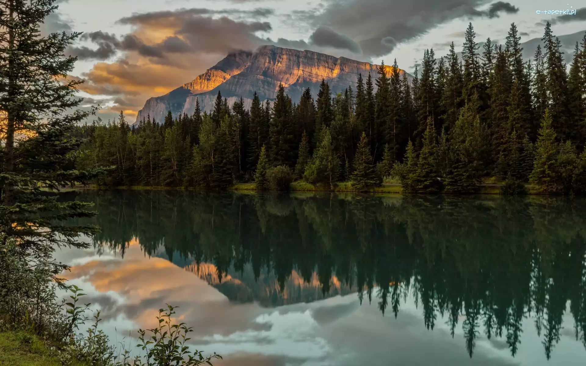 Drzewa, Park Narodowy Banff, Jezioro, Góra Mount Rundle, Góry, Kanada, Alberta, Two Jack Lake, Odbicie
