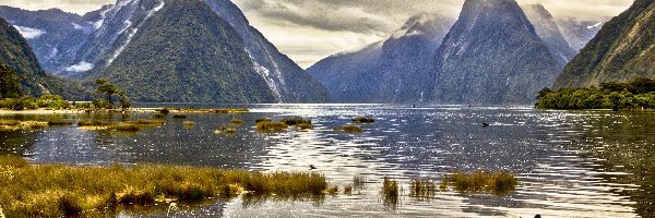 Jezioro, Chmury, Góry, Nowa Zelandia, Milford Sound