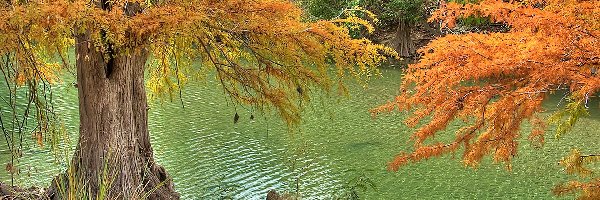 Kolorowe, Jesień, Drzewa, Rzeka