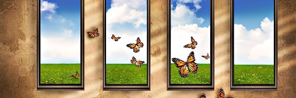 Motyle, Łąka, Okno