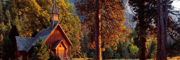 Stany Zjednoczone, Park Narodowy Yosemite, Stan Kalifornia, Drzewa, Kościółek Yosemite Valley Chapel