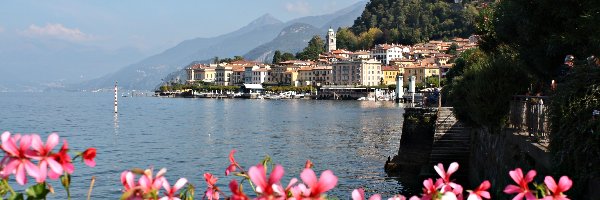 Jezioro, Kwiatki, Como, Włochy, Bellagio