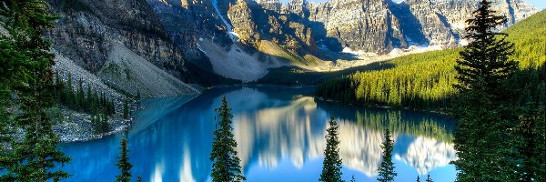 Odbicie, Góry, Lasy, Park Narodowy Banff, Kanada, Świerki, Jezioro Moraine