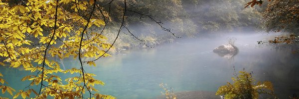 Rzeka, Mgła, Kamienie, Jesień, Las