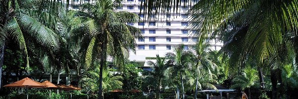 Hotel, Palmy, Basen, Tajlandia, Bangkok