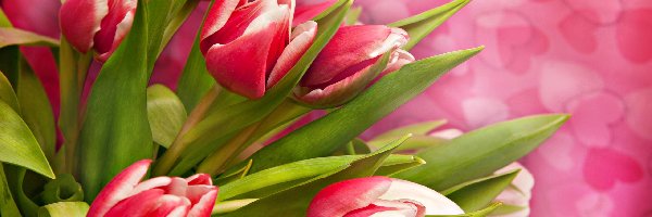 Serduszka, Tulipany, Kolorowe