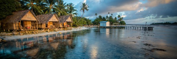 Malediwy, Wyspy, Ocean, Palmy, Domki