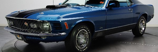 Wystawa, Ford Mustang, Niebieski