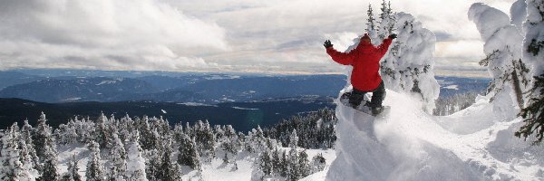 Snowboarding, Góry, Ośnieżone, Las, Śnieg