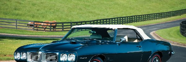 Cabriolet, Pontiac Firebird