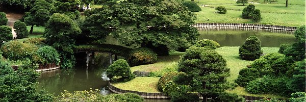 Staw, Ogród, Japoński