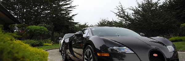 Bugatti Veyron, Czarny