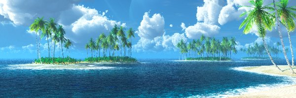 Morze, Palmy, Wyspy, Plaża