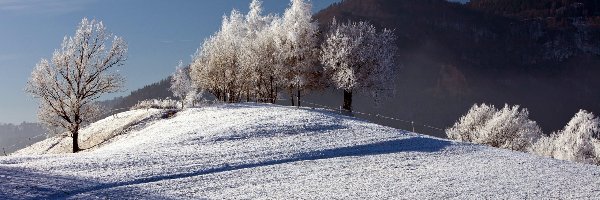 Pola, Zima, Drzewa, Góry
