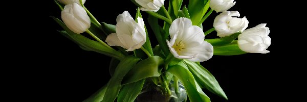 Wazon, Tulipany, Białe