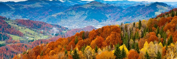 Kolorowe, Jesień, Drzewa, Góry
