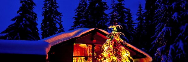 Dom, Choinka, Noc, Boże Narodzenie