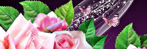 Motyle, Róże