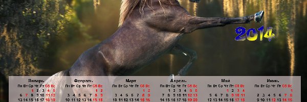 Koń, 2014, Kalendarz