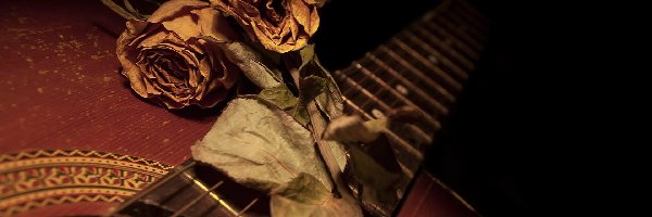 Gitara, Róże, Suche