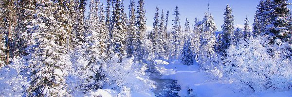Zima, Ośnieżone, Rzeczka, Śnieg, Drzewa