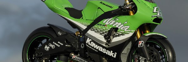 Kawasaki ZX-RR Ninja