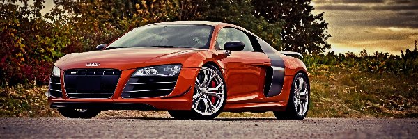 Audi R8, Czerwone