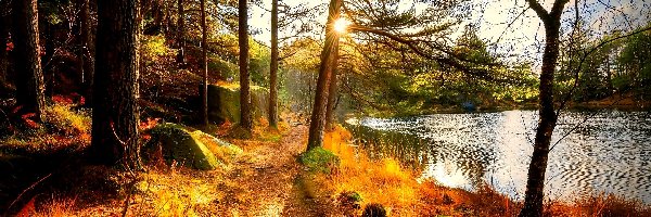 Droga, Jesień, Drzewa, Rzeka