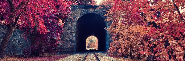 Liście, Kolejowe, Drzewa, Jesień, Tory, Tunel
