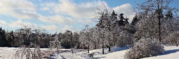 Ławeczka, Park, Zima