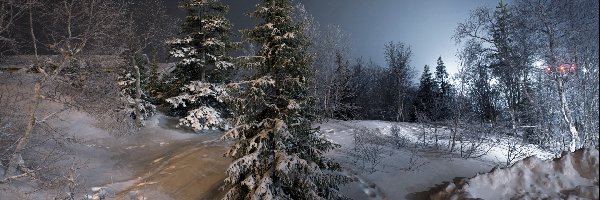 Śnieg, Drzewa, Noc, Zima