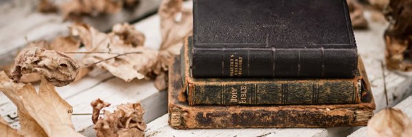Liście, Ławka, Biblia