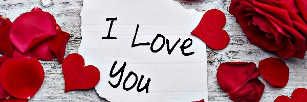 I Love You, Róże, Walentynki, Serca, Płatki