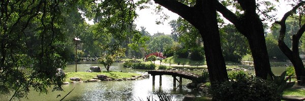 Rzeka, Mostek, Drzewa, Park