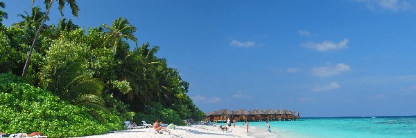 Malediwy, Palmy, Fihalhohi, Niebo, Plaża