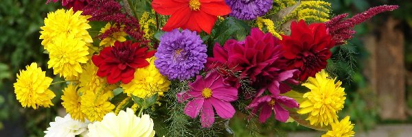 Kolorowe, Kwiaty, Bukiet