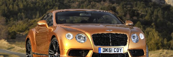 Droga, Continental GT-V8, Bentley