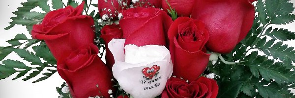 Róż, Wyznanie, Miłosne, Bukiet