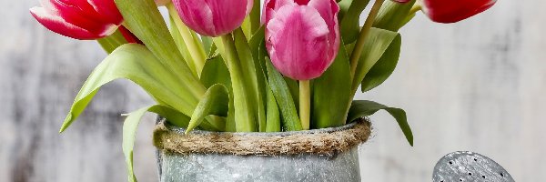 Bukiet, Konefka, Tulipany, Kwiaty