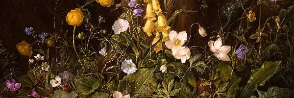 Kwiaty, Martwa Natura, Franz Xaver Petter