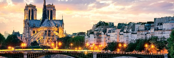 Notre Dame, Rzeka, Most, Katedra