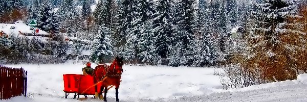 Koń, Zima, Bryczka, Las, Góry