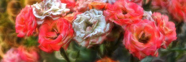 Fractalius, Kwiaty, Różę