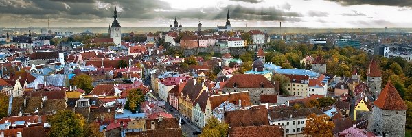 Miasto, Tallin, Estonia