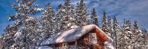 Śnieg, Drzewa, Dom, Zima
