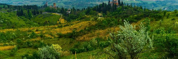 Łąki, Wzgórza, Włochy