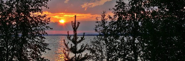 Drzewa, Zachód Słońca, Jezioro