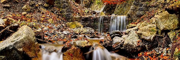 Las, Wodospad, Kamienie, Jesień