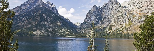 Jezioro, Drzewa, Góry, Wyoming, Jeeny Lake